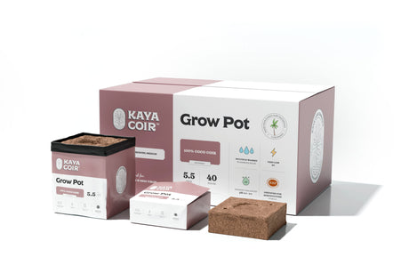 Pot de culture Kaya Coir Grow Pot de 5,5 pouces en coco compressé.