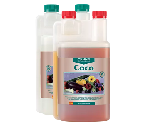 Coco A & B - Canna