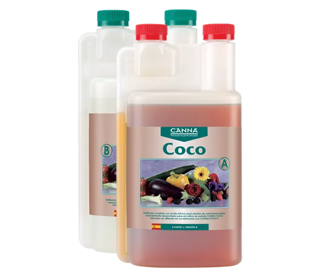 Coco A & B - Canna