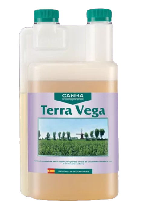 Terra Vega - Canna