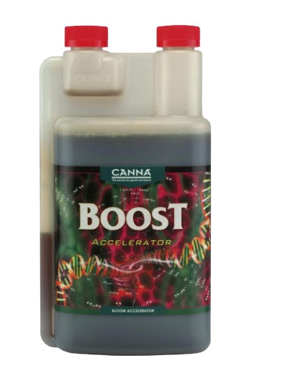 Boost Accelerator - Canna