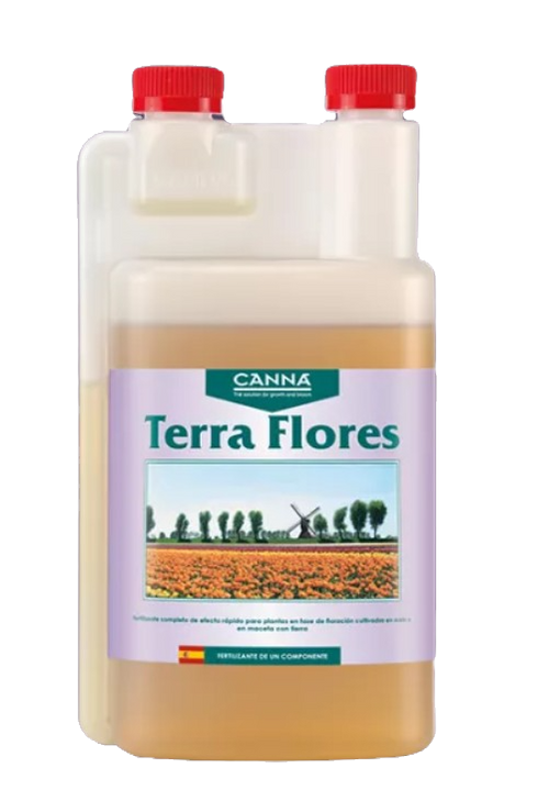 Terra Flores - Canna