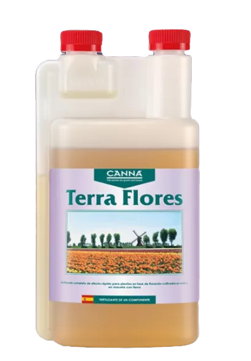 Terra Flores - Canna