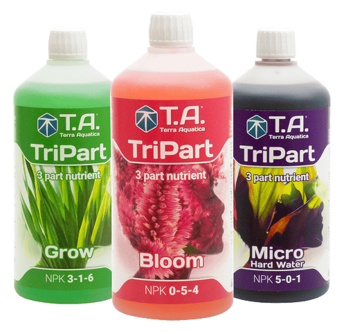 Tripart Bloom | Terra Aquatica